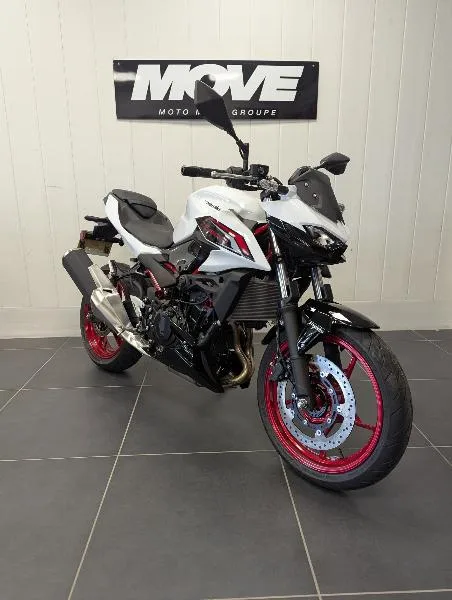 Z 500 SE