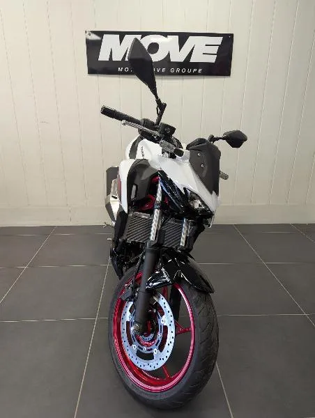 Z 500 SE