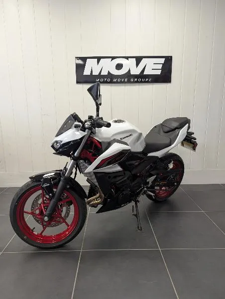 Z 500 SE