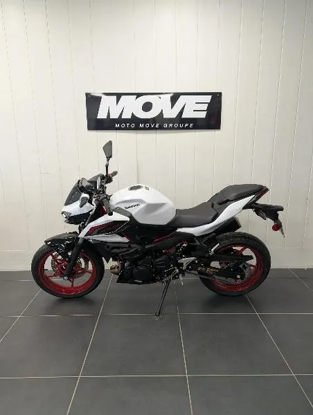 Z 500 SE