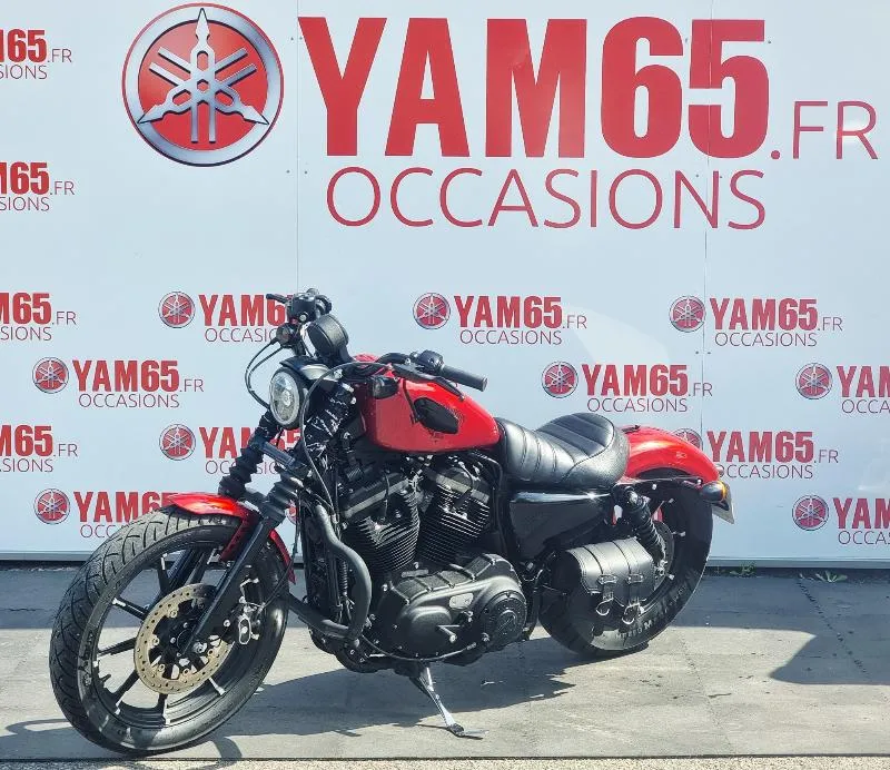 SPORTSTER IRON 883