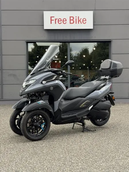 TRICITY 300