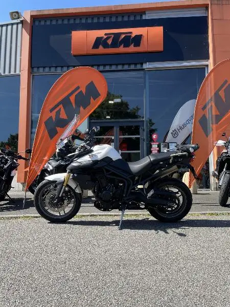 TIGER 800