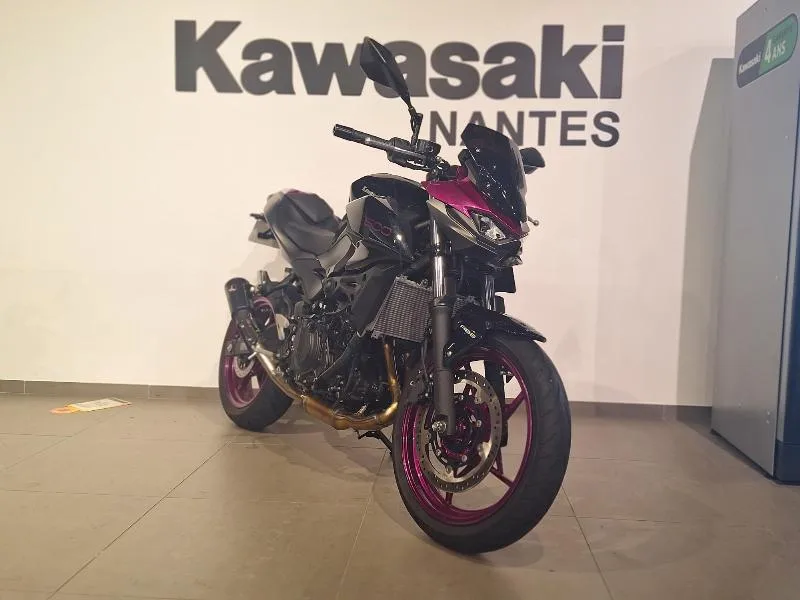 Z 500