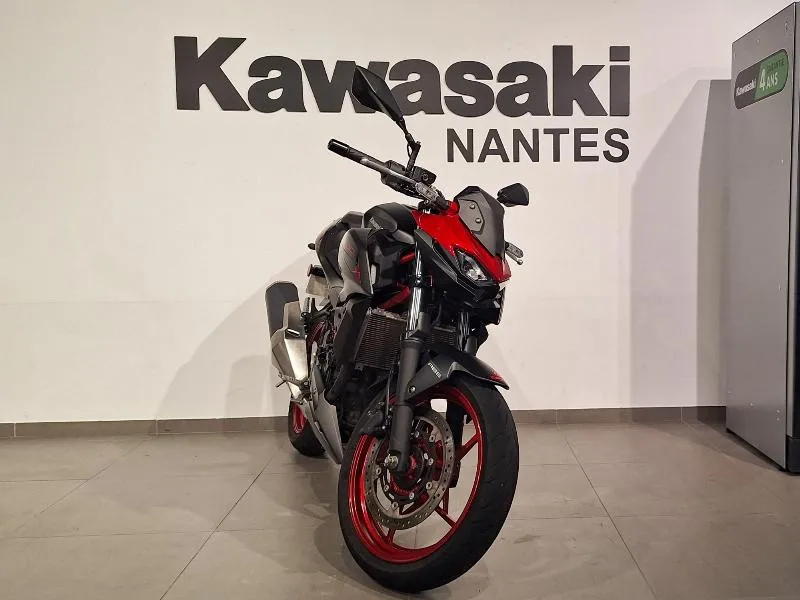 Z 500 SE 2024