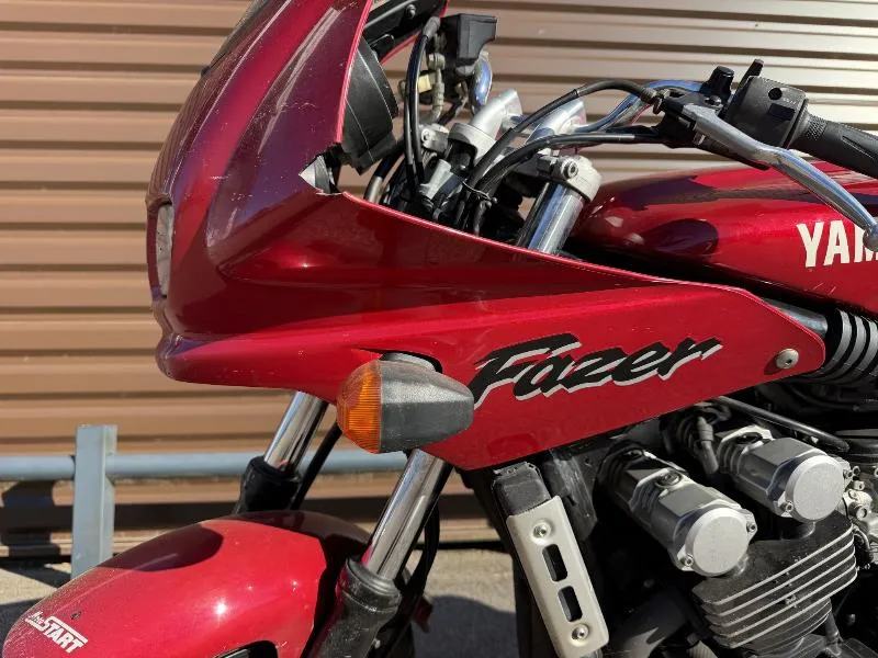 FZS FAZER