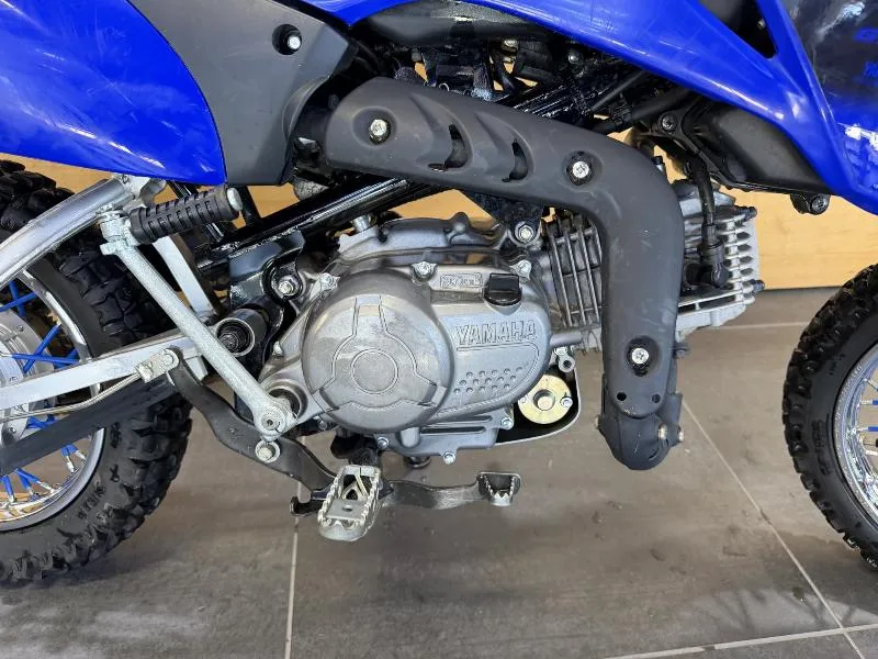 TTR110
