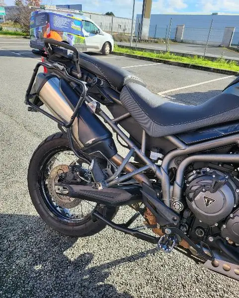 TIGER 800 XRX