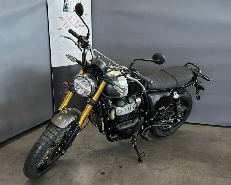 650 BEAR
