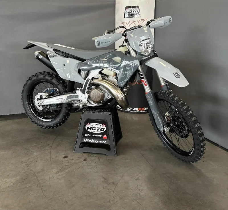 TE 300 PRO