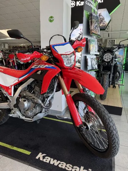 CRF 300 L