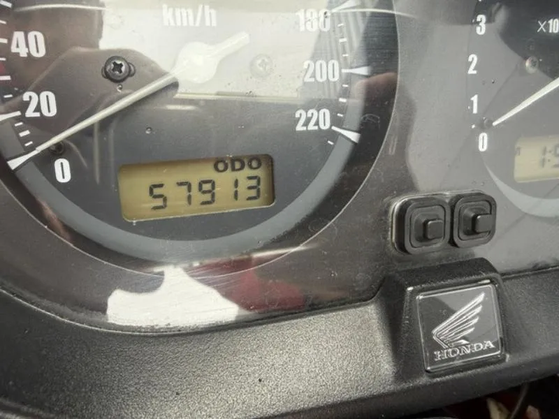 CBF 600 S