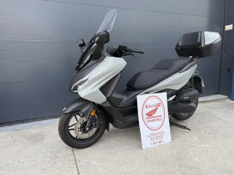 NSS FORZA 125