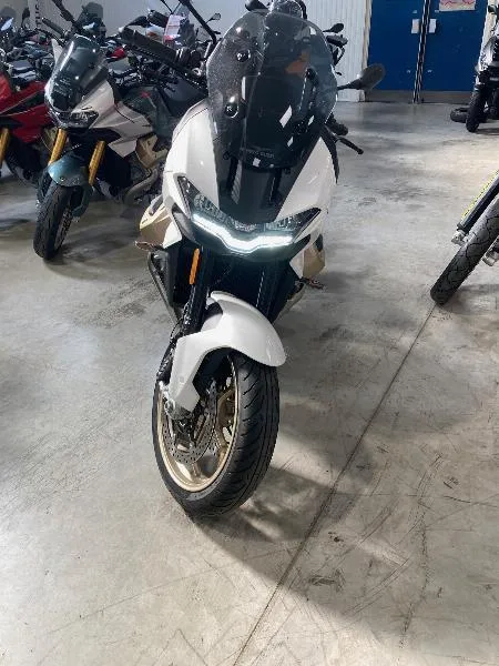 V100  MANDELLO
