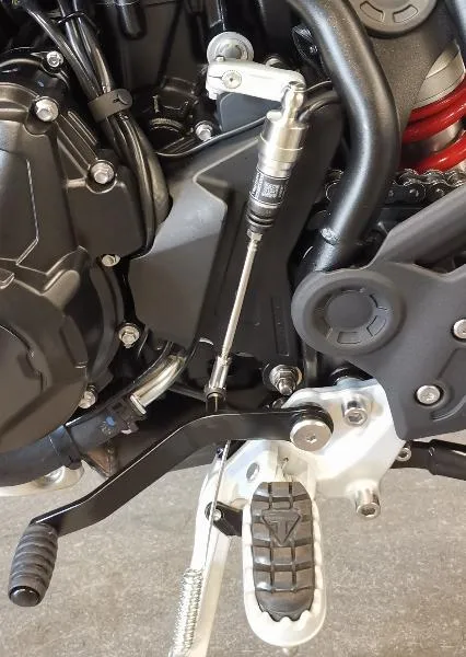 Tiger 900 Alpine Edition