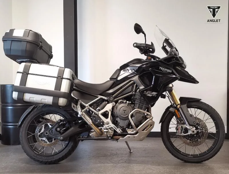 TIGER 1200 RALLY PRO