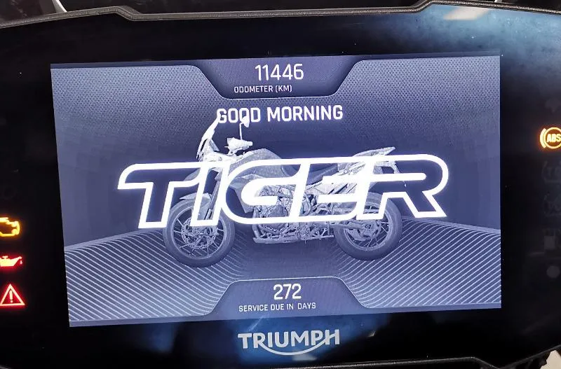 Tiger 900 GT