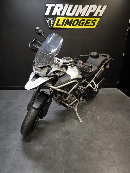TIGER 1200 GT PRO