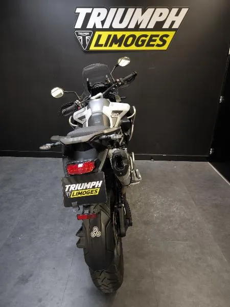 TIGER 1200 GT PRO