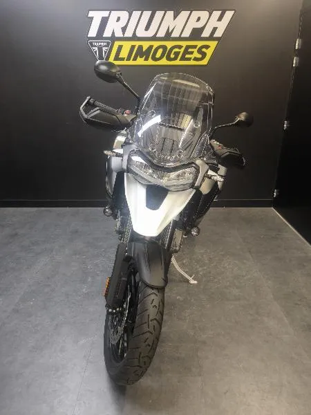 TIGER 1200 GT PRO