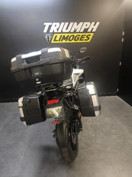TIGER 1200 GT PRO