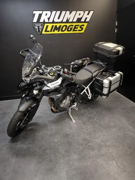 Tiger 900 GT PRO