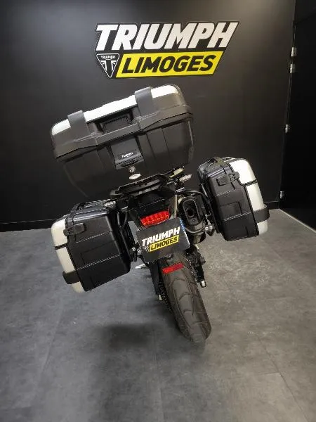 Tiger 900 GT PRO