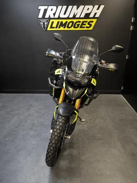 TIGER 900 RALLY PRO