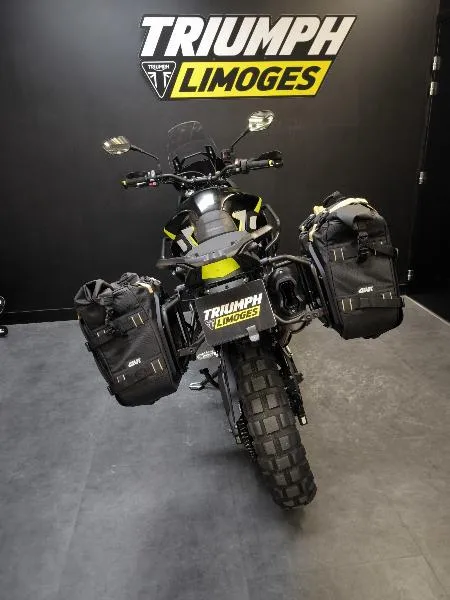 TIGER 900 RALLY PRO