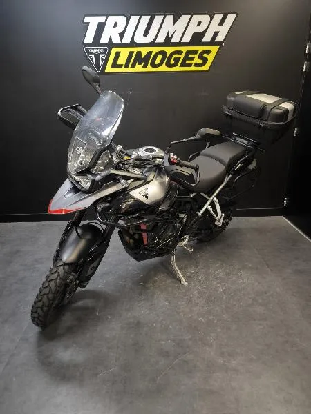 Tiger 900 GT PRO