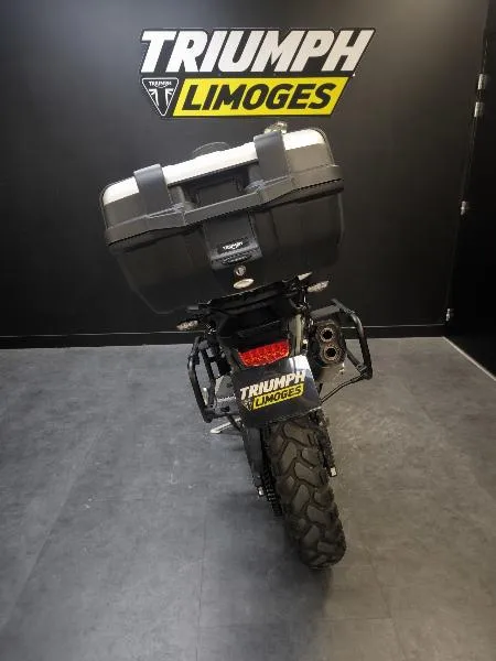 Tiger 900 GT PRO