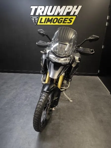 TIGER 1200 DESERT EDITION