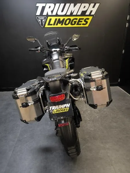 TIGER 1200 DESERT EDITION