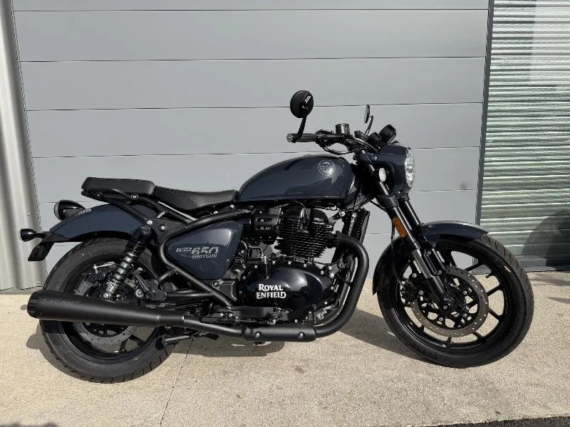 SHOTGUN 650
