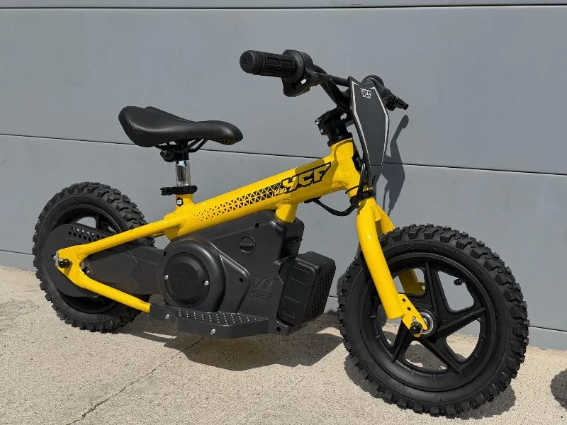 MINI 12P
