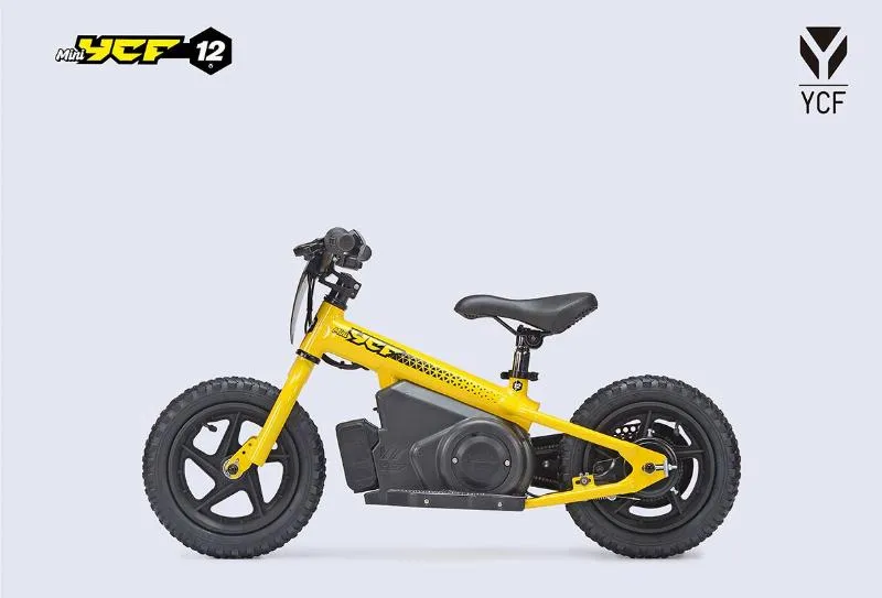 MINI 12P
