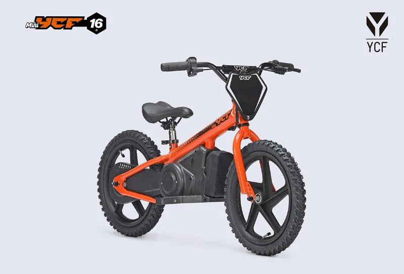 MINI 16P