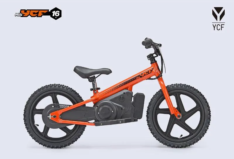 MINI 16P