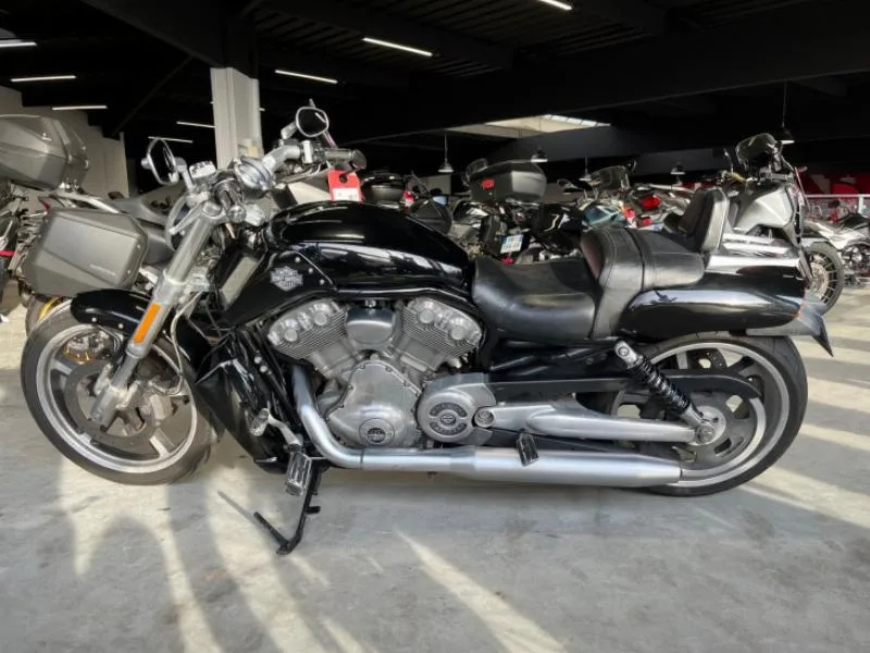 V ROD MUSCLE 1250