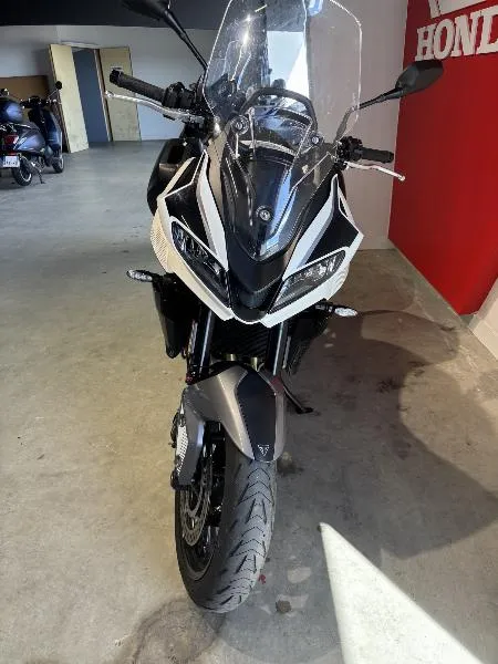 TIGER SPORT 660