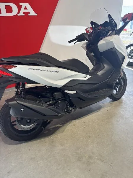 NSS FORZA 350
