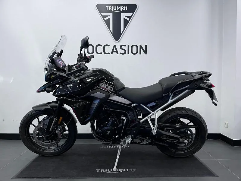 Tiger 900 GT PRO