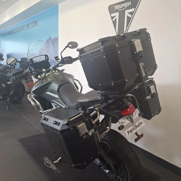 TIGER 900 RALLY PRO