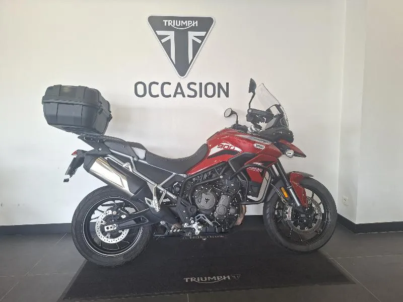 Tiger 900 GT PRO