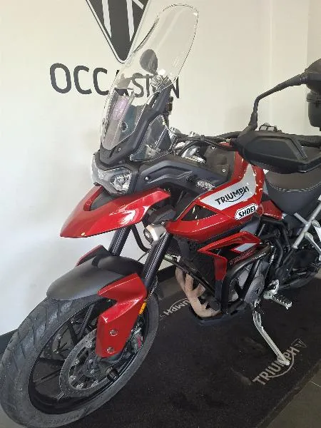 Tiger 900 GT PRO