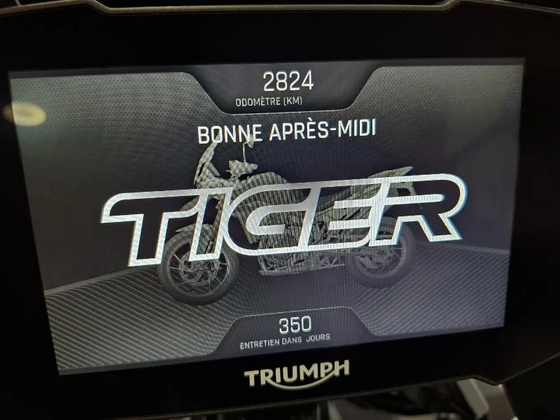 Tiger 900 GT PRO