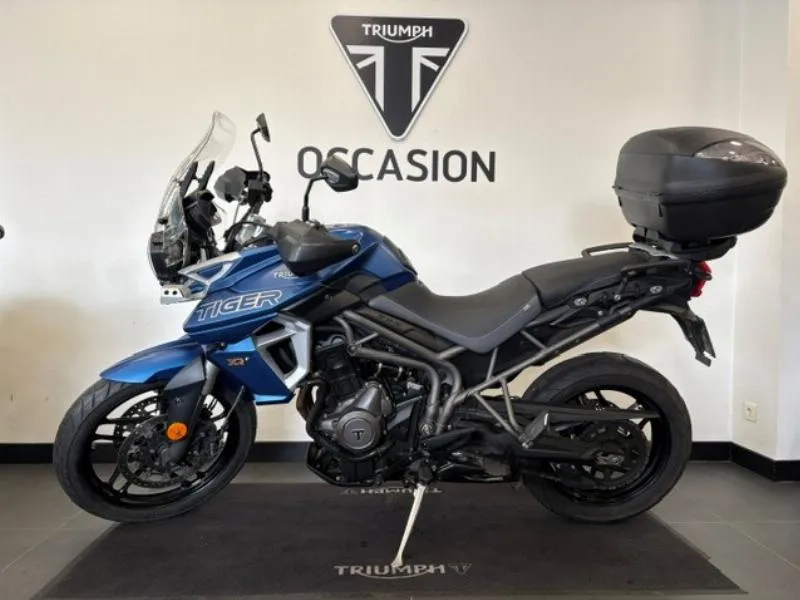 TIGER 800 XRT