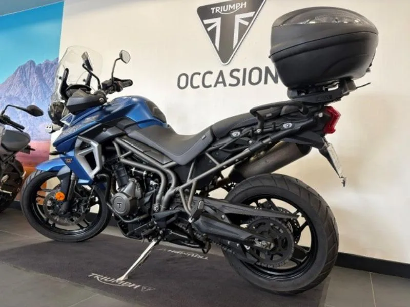 TIGER 800 XRT