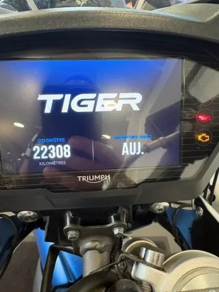 TIGER 800 XRT