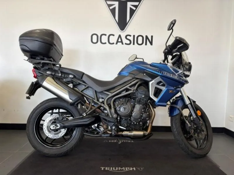 TIGER 800 XRT